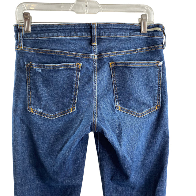 PILCRO Size 28 Blue Denim JEANS