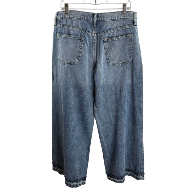 GAP Size 29 Light Blue Denim JEANS