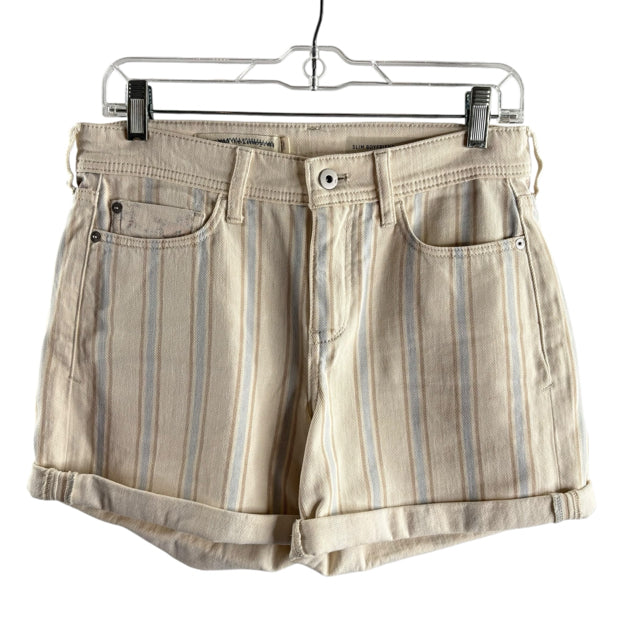 PILCRO Size 26 Cream/Blue Stripe Denim SHORTS