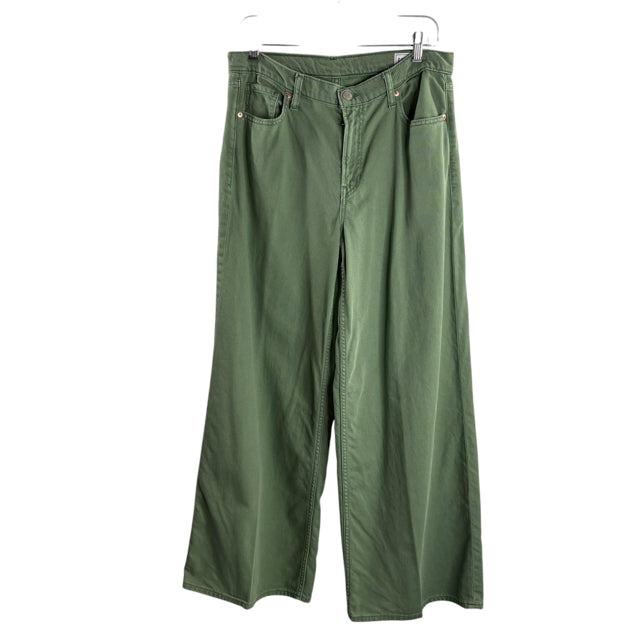 GAP Size 29 Sage Denim JEANS