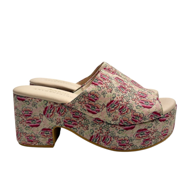 MATISSE Size 10 Cream/Pink Wedge Heel Floral NWOT SHOE
