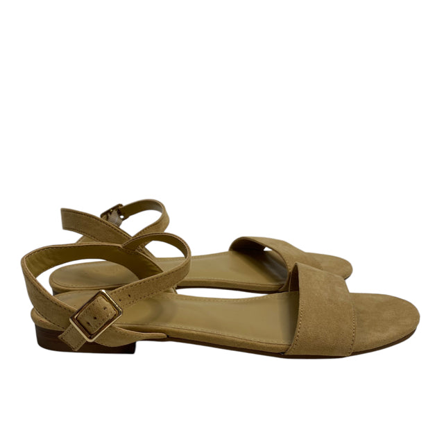 J CREW Size 9 Tan Sandal Sueded NWOT SHOE